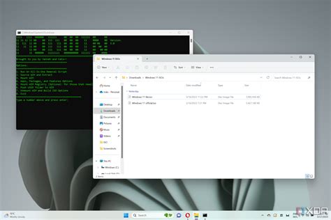 Download Tiny11 for Windows